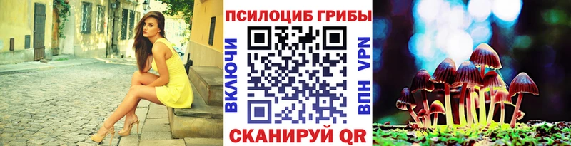 Псилоцибиновые грибы Cubensis  цены наркотик  Мамадыш 